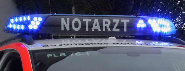 Blaulicht mit Schriftzug 'Notarzt' Blaulicht mit Schriftzug 'Notarzt'